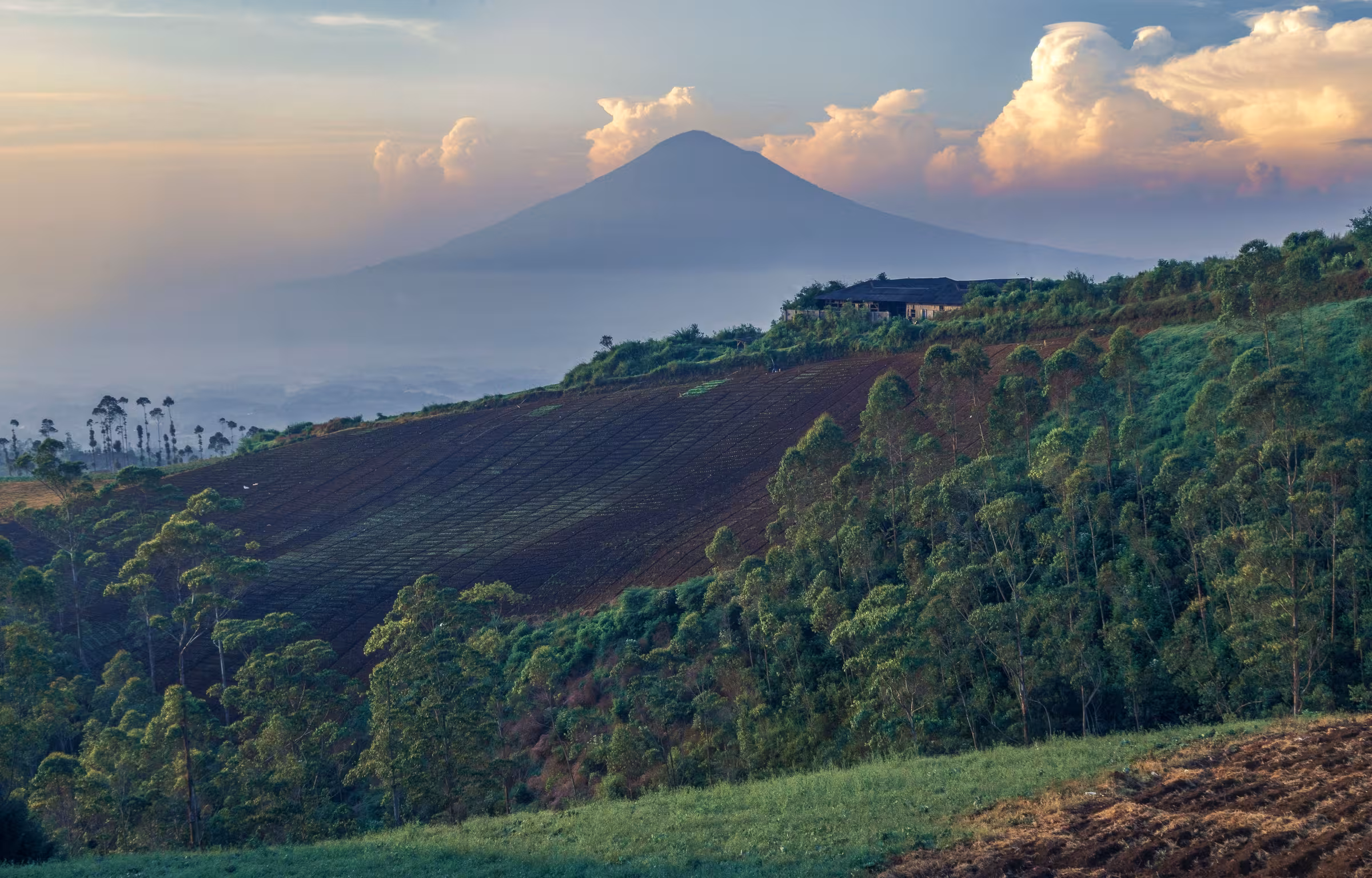 Private Jet & Inflight Catering Africa | SkyDine