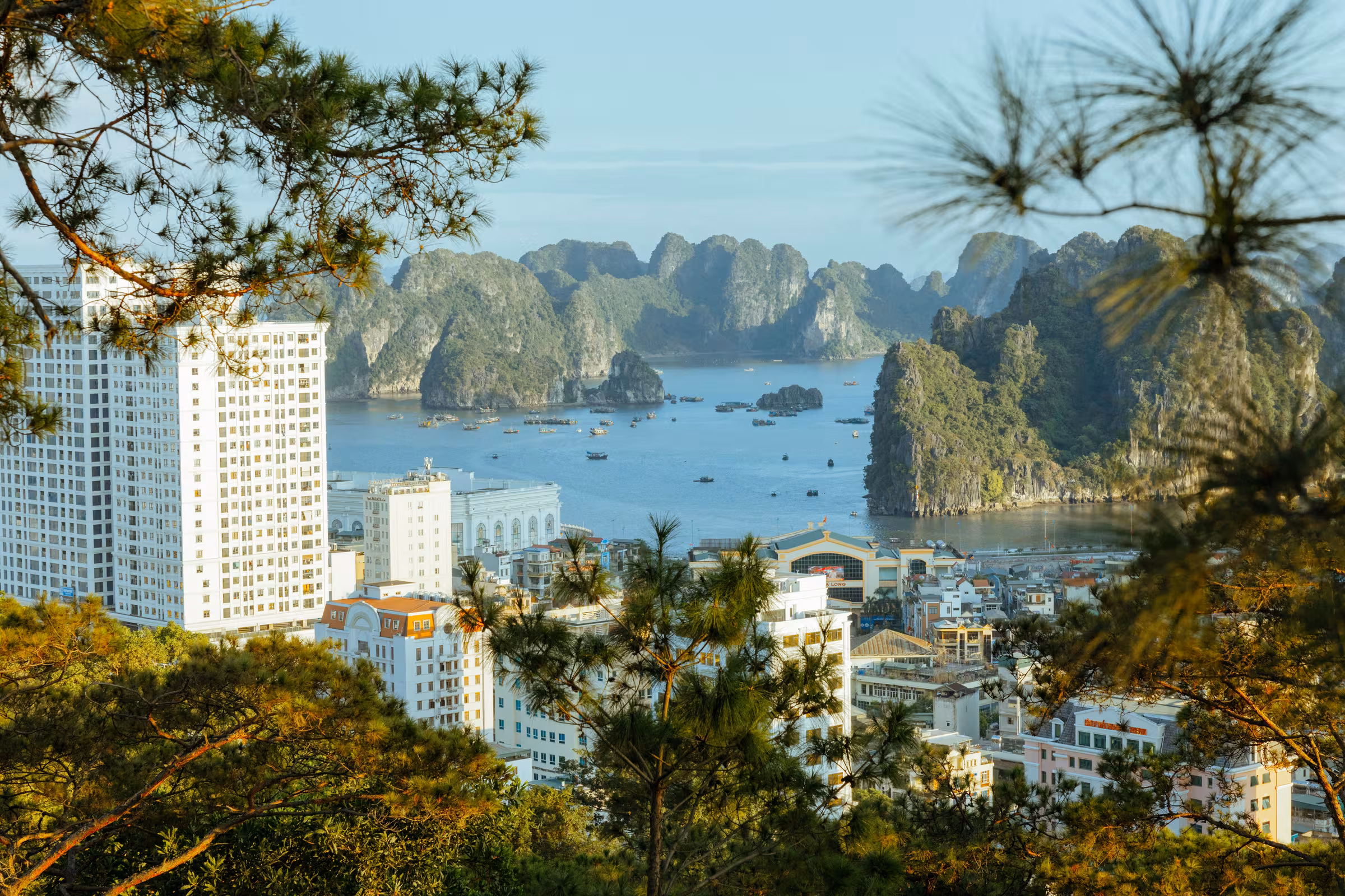 Private Jet & Inflight Catering Asia | SkyDine