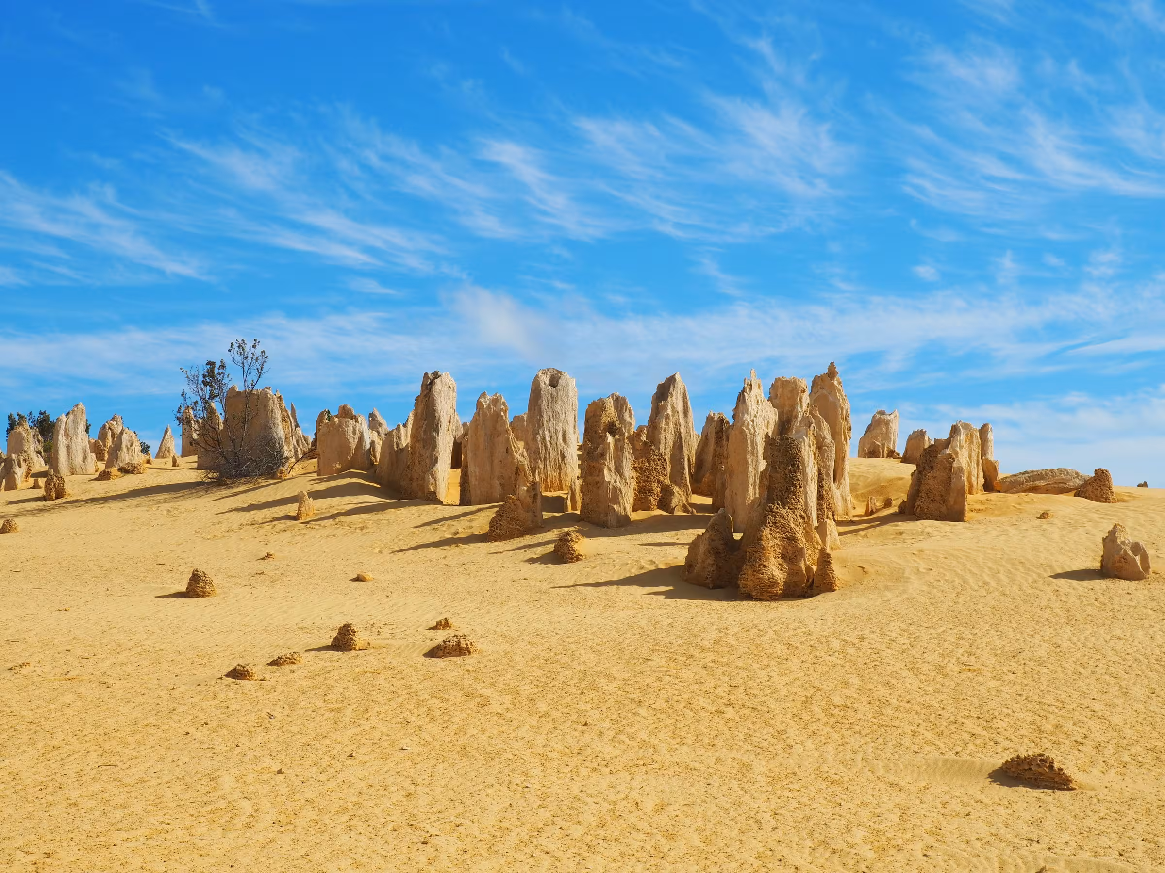 Private Jet & Inflight Catering Australia & Pacific | SkyDine