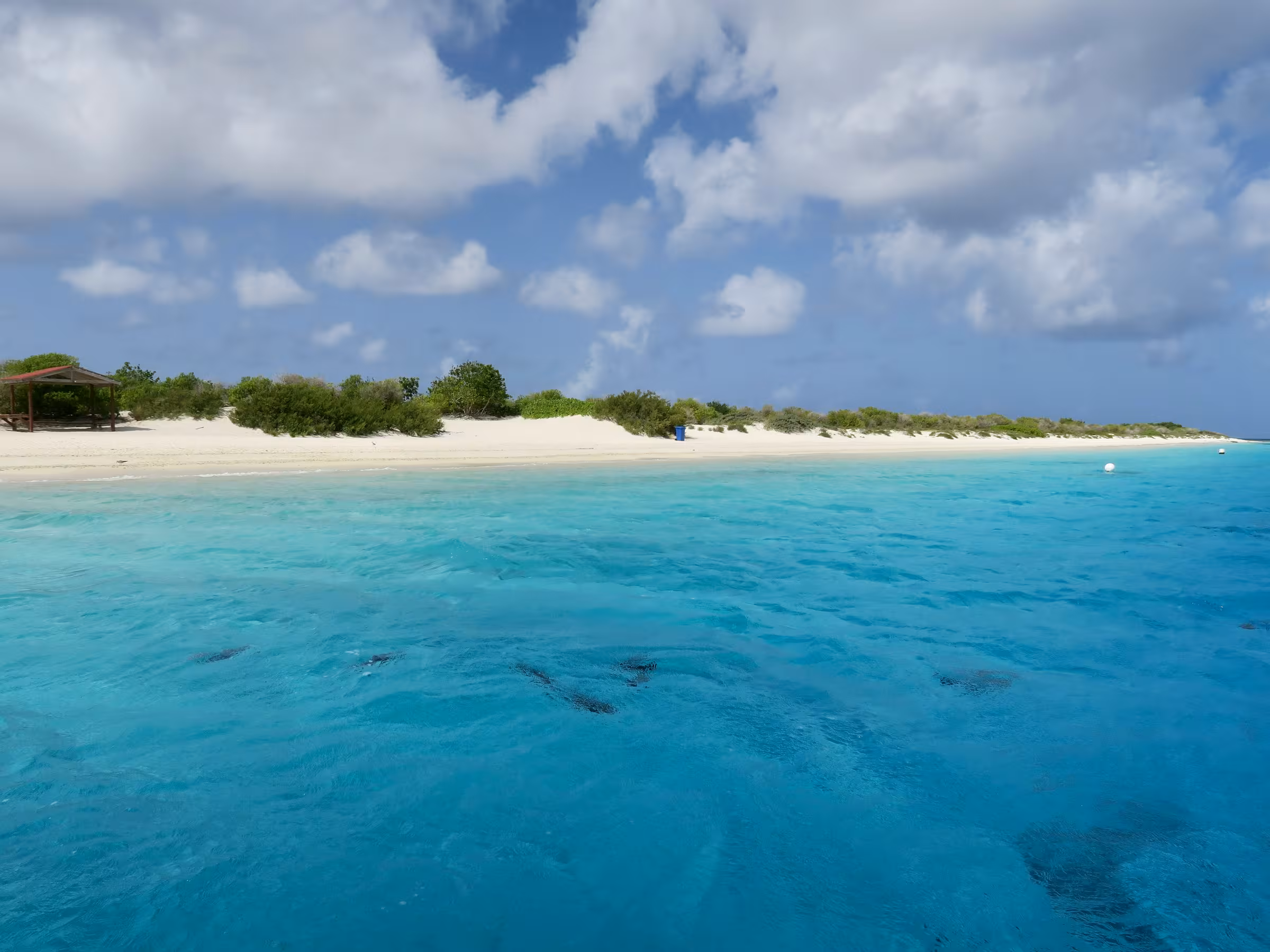 Private Jet & Inflight Catering BON TNCB Bonaire | SkyDine