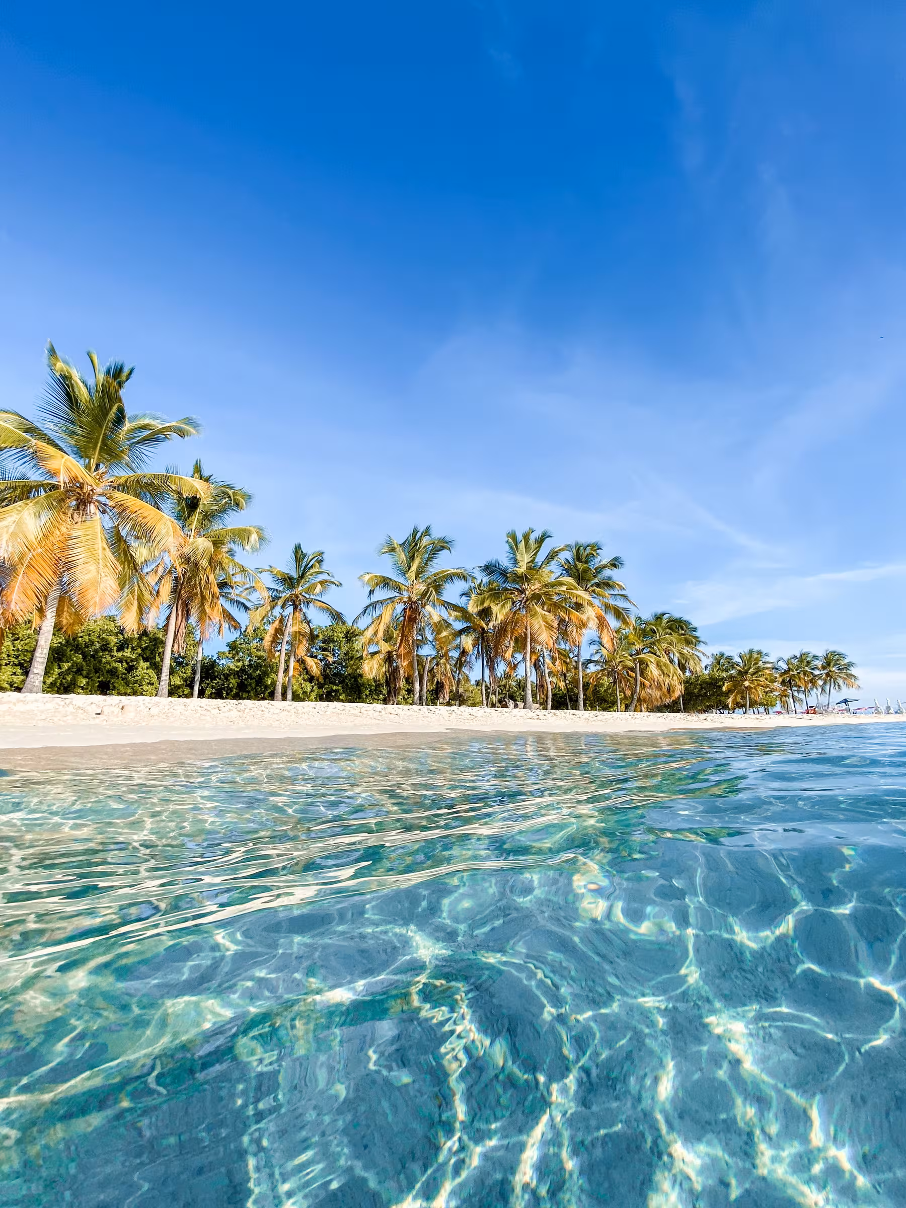 Private Jet & Inflight Catering Caribbean | SkyDine
