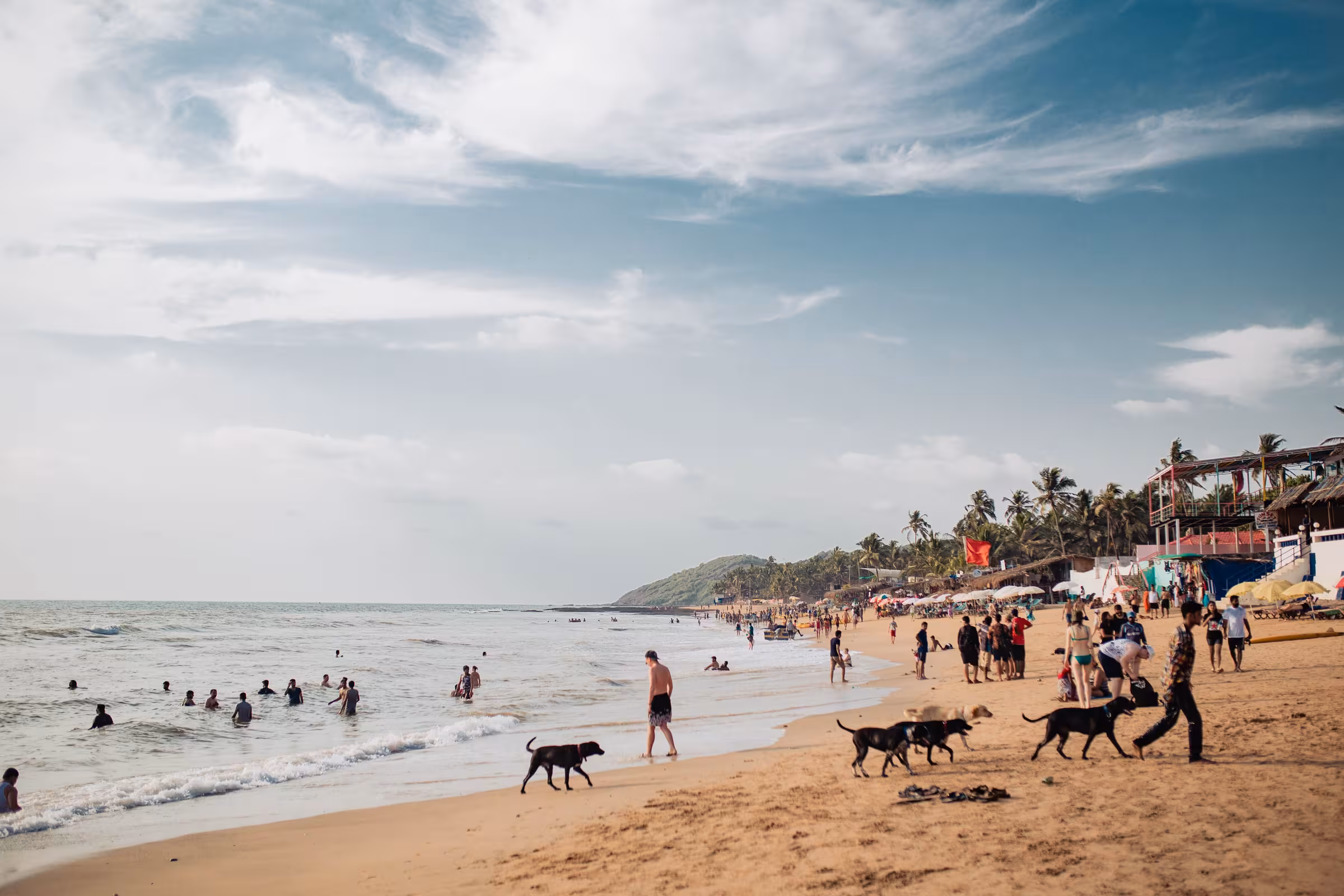 Private Jet & Inflight Catering GOX VOGA Goa | SkyDine