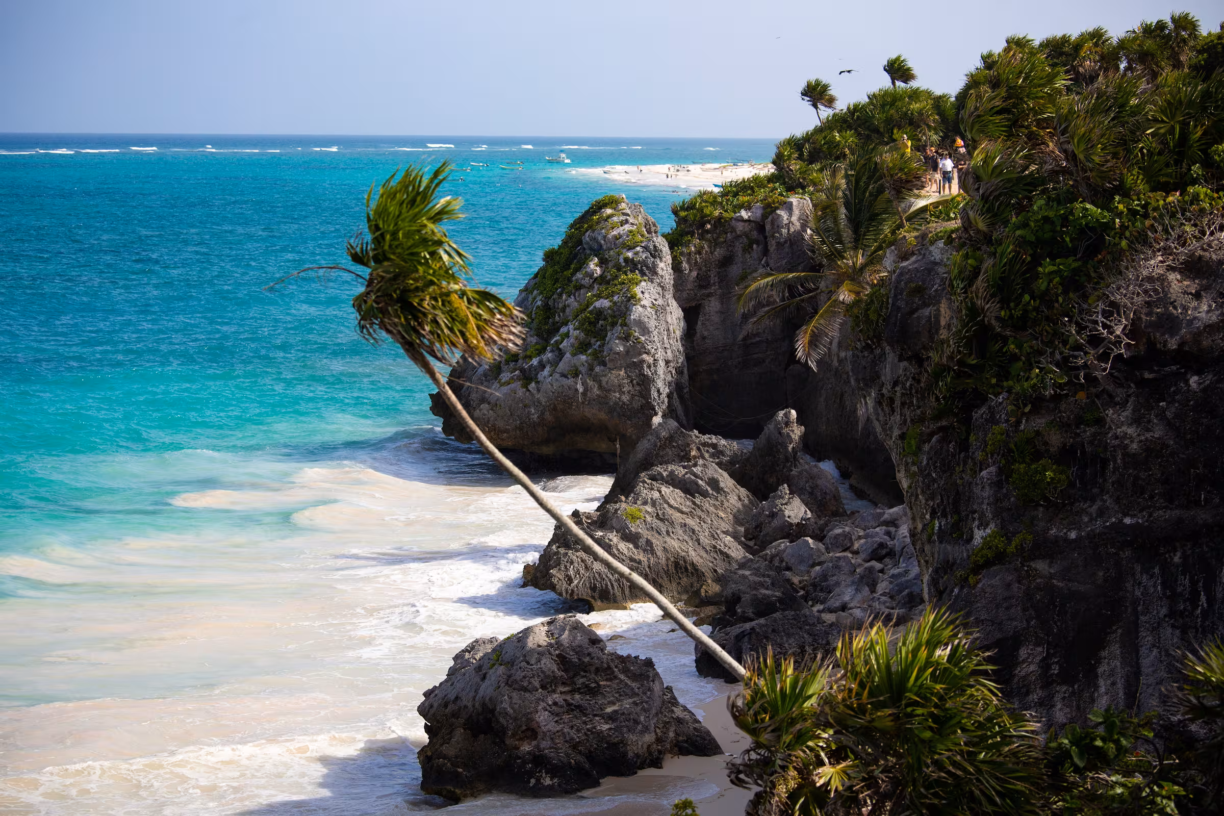 Private Jet & Inflight Catering TQO MMTL Tulum | SkyDine